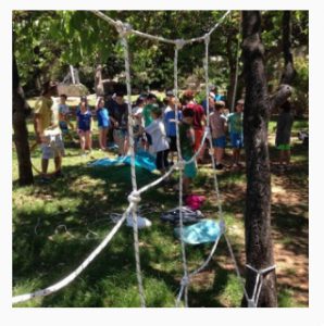 odt התחמקות מקורי עכביש